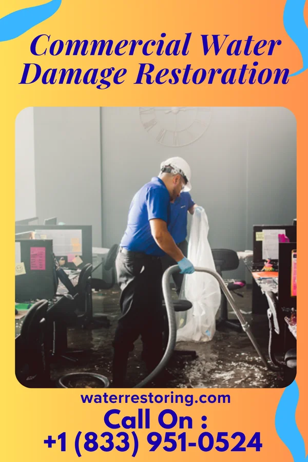 Commercial Water Damage Restoration in Cobbtown, GA
